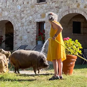 Sole Farm stay